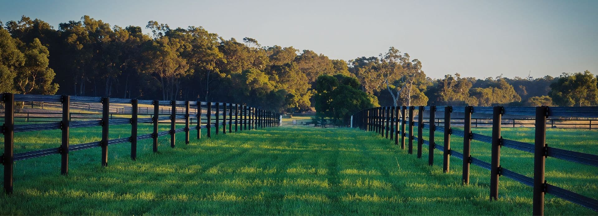 Rail horse Fencing
