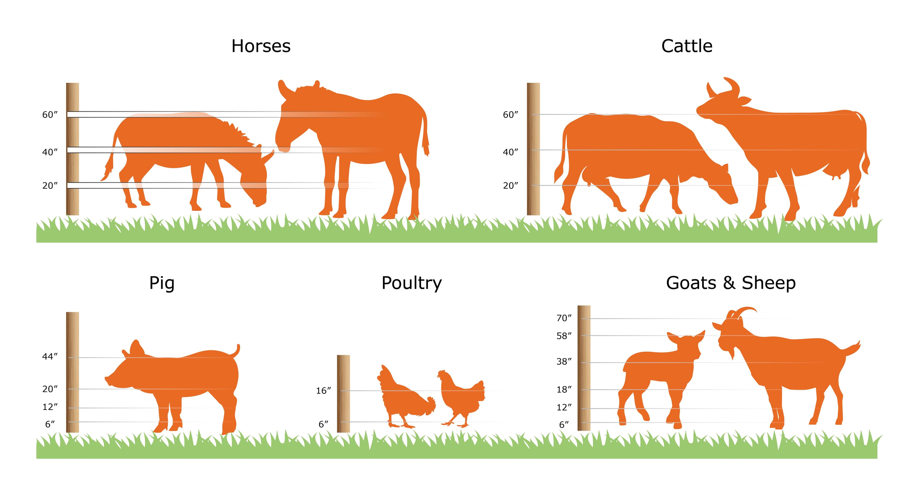 How Tall Should an Electric Fence Be? – A Practical Guide for Livestock Owners