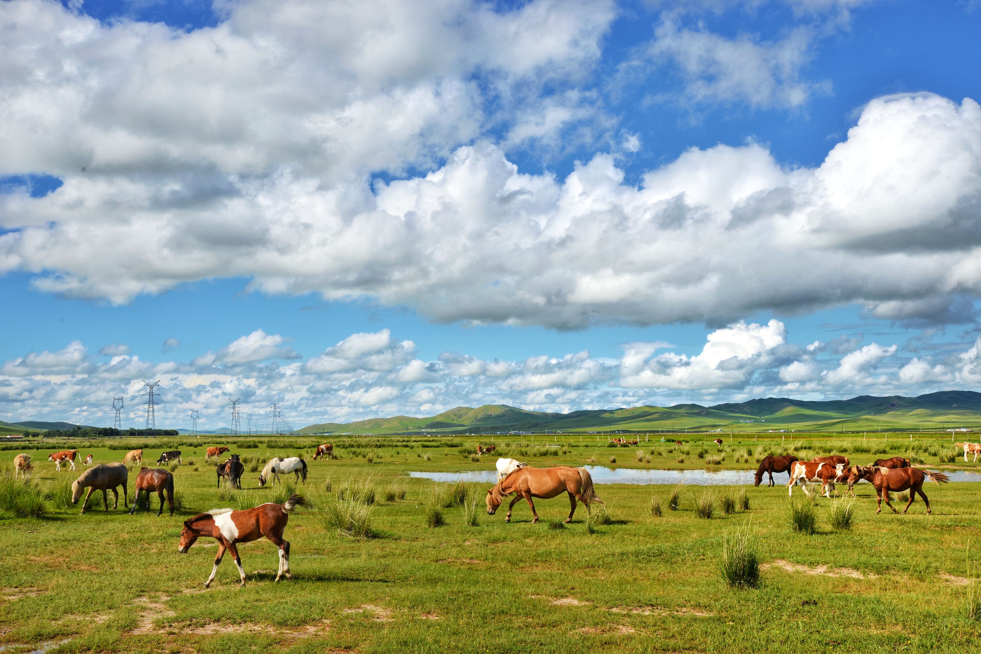 Solar Fence Energizer vs AC Energizer: Which One Is Better for Your Farm?