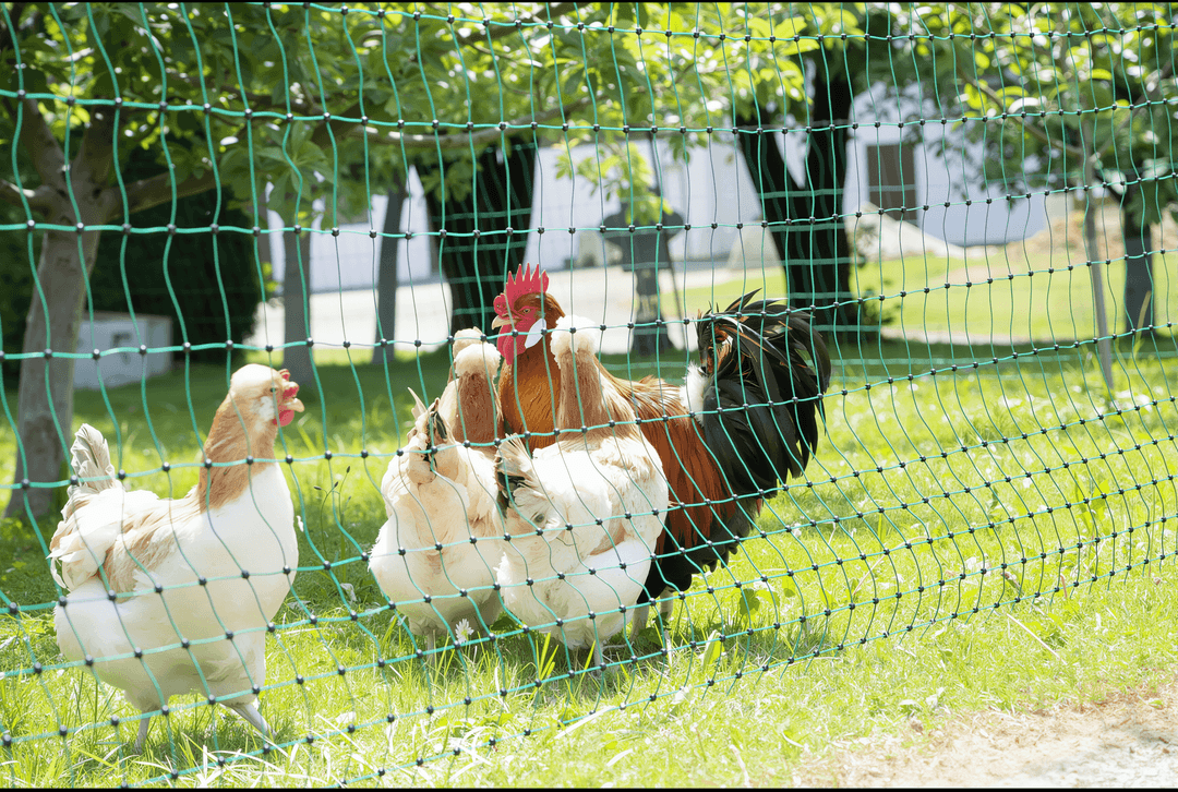 How to Install a Lydite Electric Net Fence – A Step-by-Step Guide for Beginners