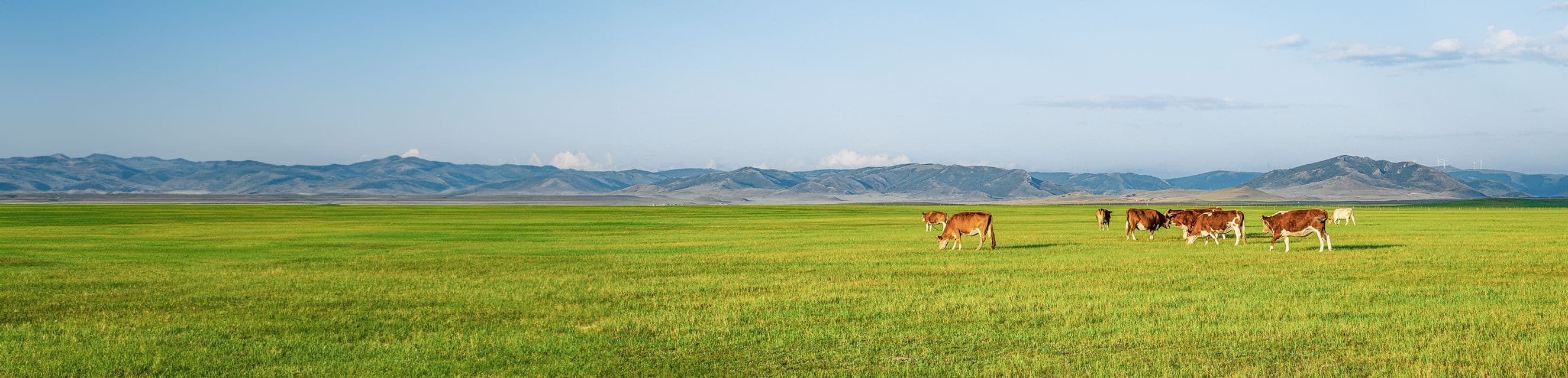 How to Connect and Install an Electric Fence Energizer