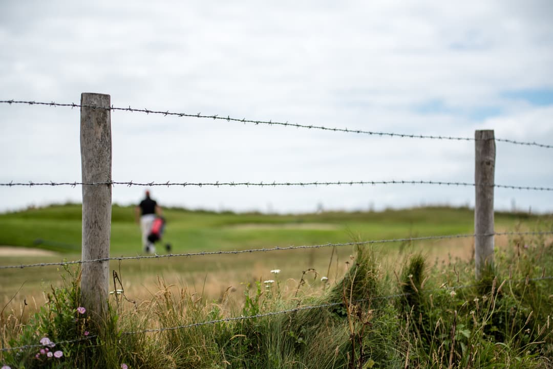 Fiberglass Fence Posts: How to Choose the Right Posts for Your Electric Fence