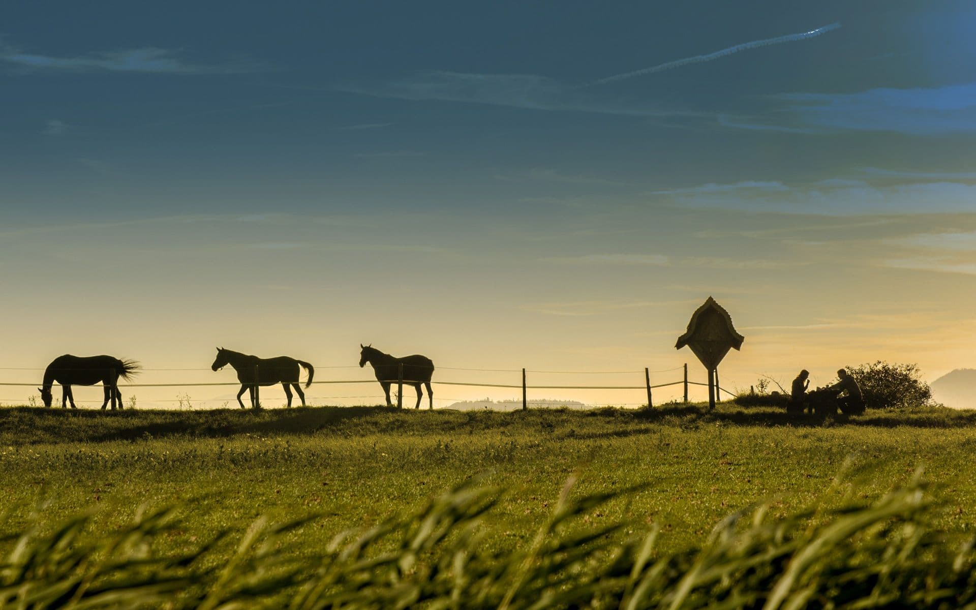 Practical Pasture Configurations for Rotational Grazing