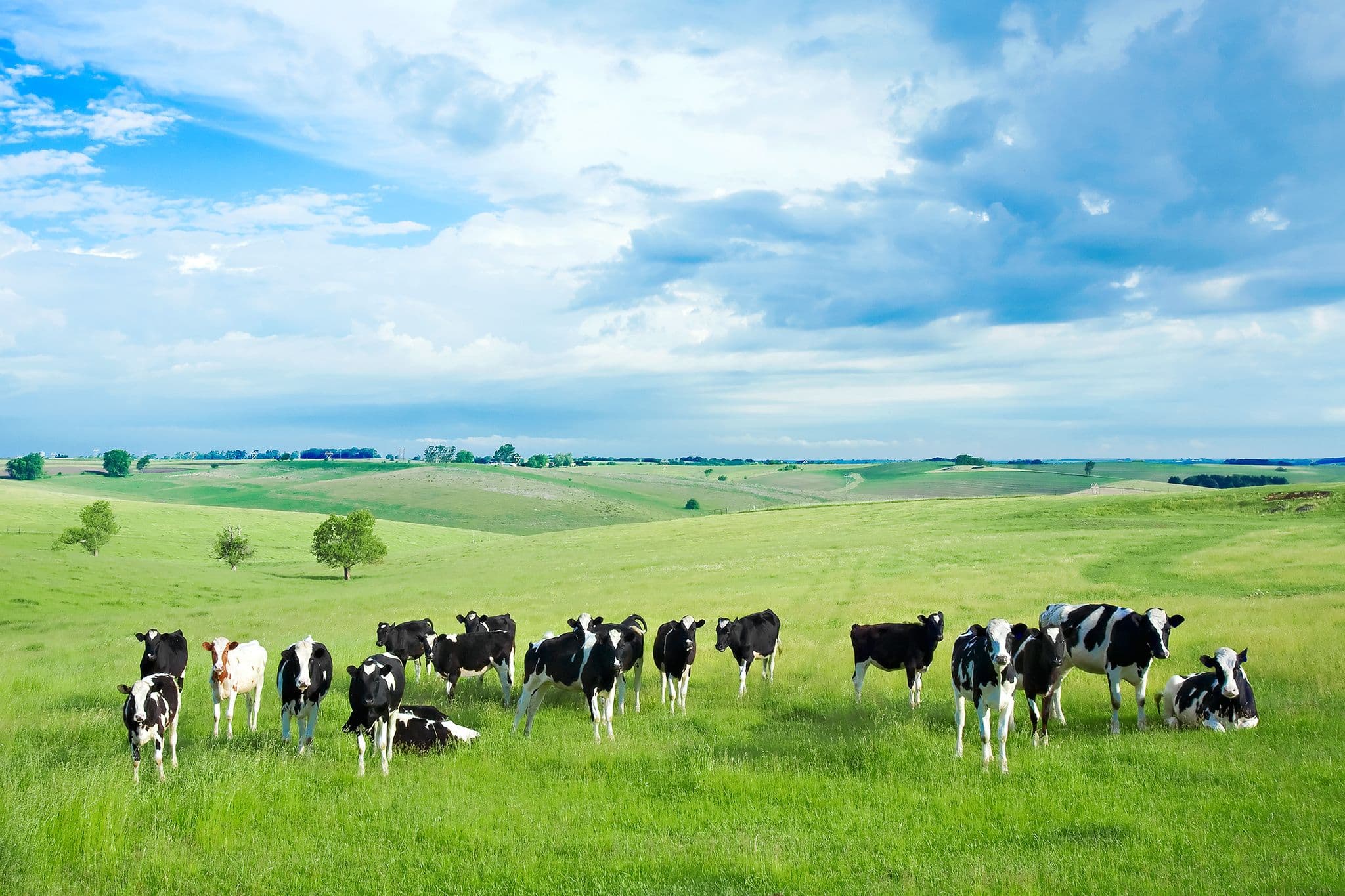 Polywire vs Polyrope vs Polytape: Which Is Best for Your Electric Fence?