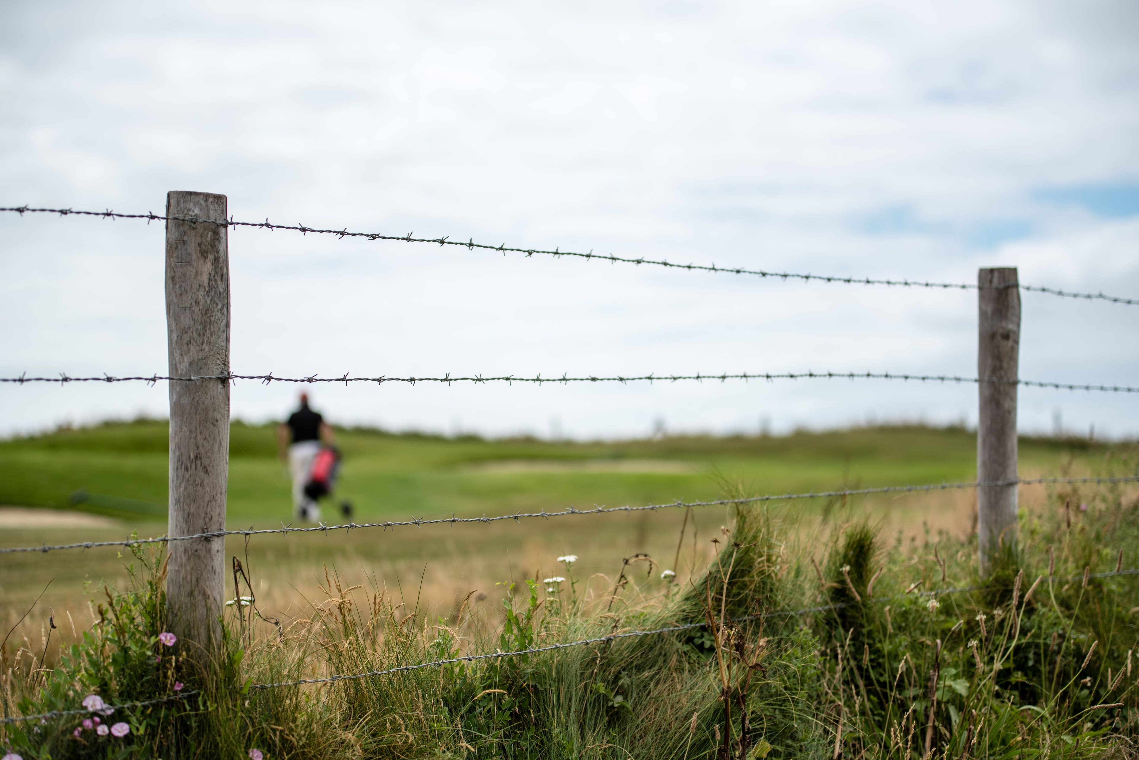 How to Build an Effective Electric Fence Gate: A Complete Guide